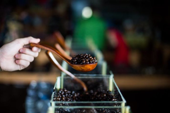 Fresh coffee bean at Kopi Luwak coffee farm, Dalat.