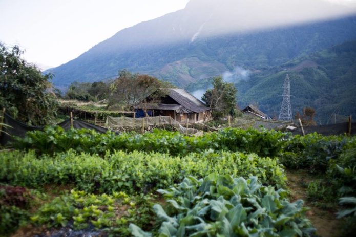 Mama sa's homestay, SAPA, Vietanma.