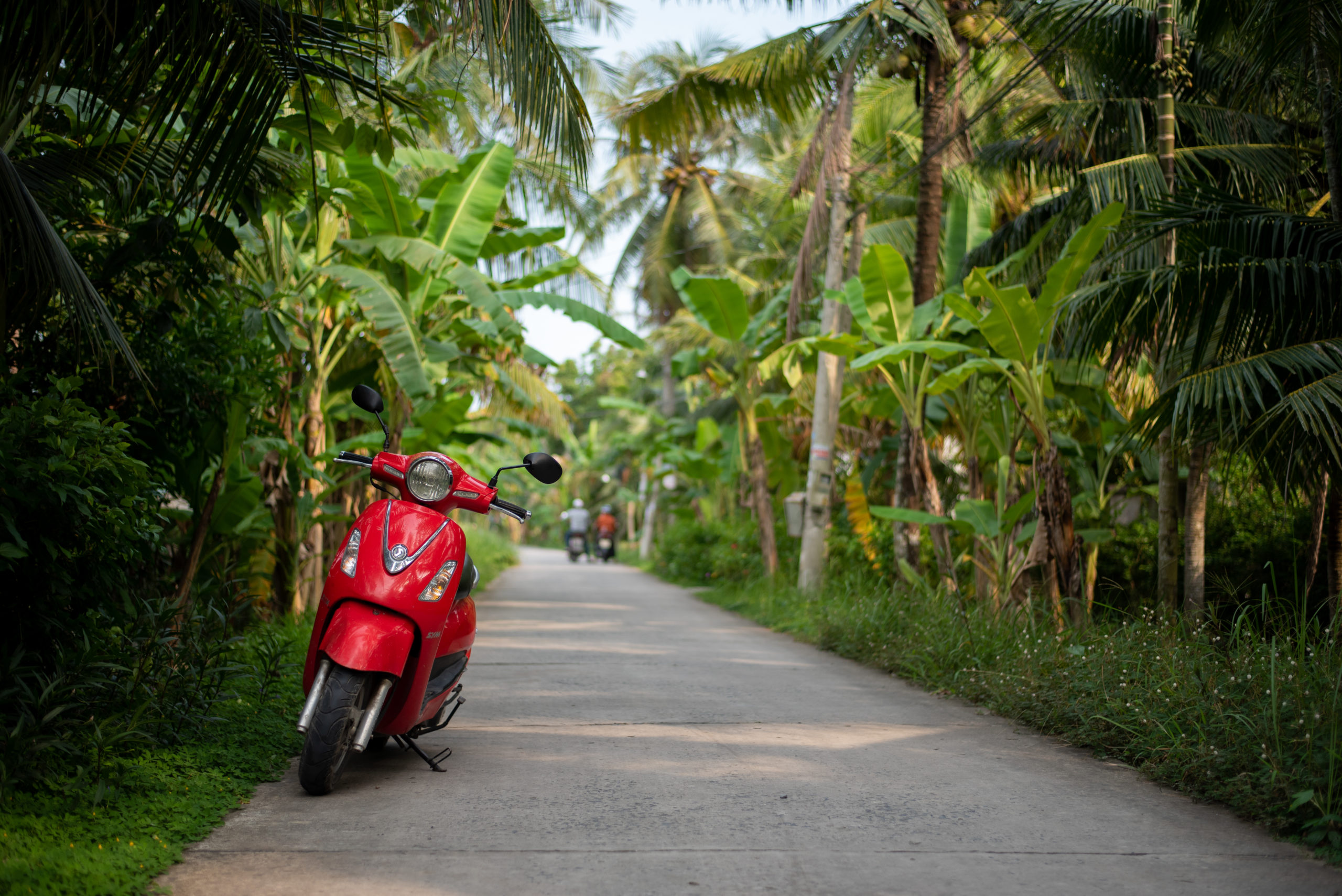 red scooter on side of street lined with trees