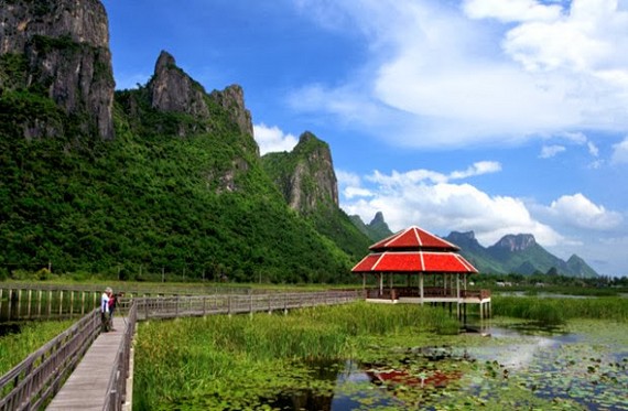 Bueng-Bua-Thung-Sam-Roi-Yot
