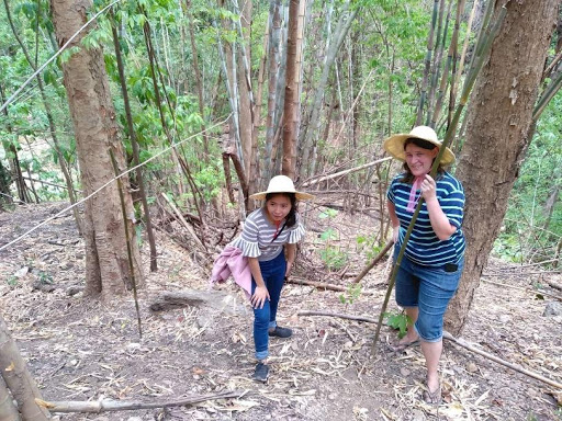 Michelle ferguson - Teach English in Thailand