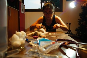 Our-volunteer-vet-performs-surgery-in-a-makeshift-theatre-to-remove-an-infected-eye-on-cat-with-severe-cat-flu