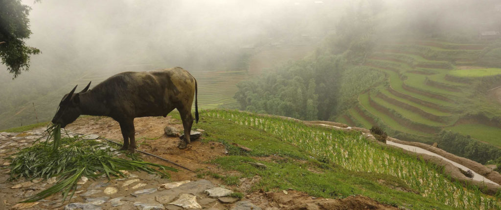 Sa Pa Vietnam