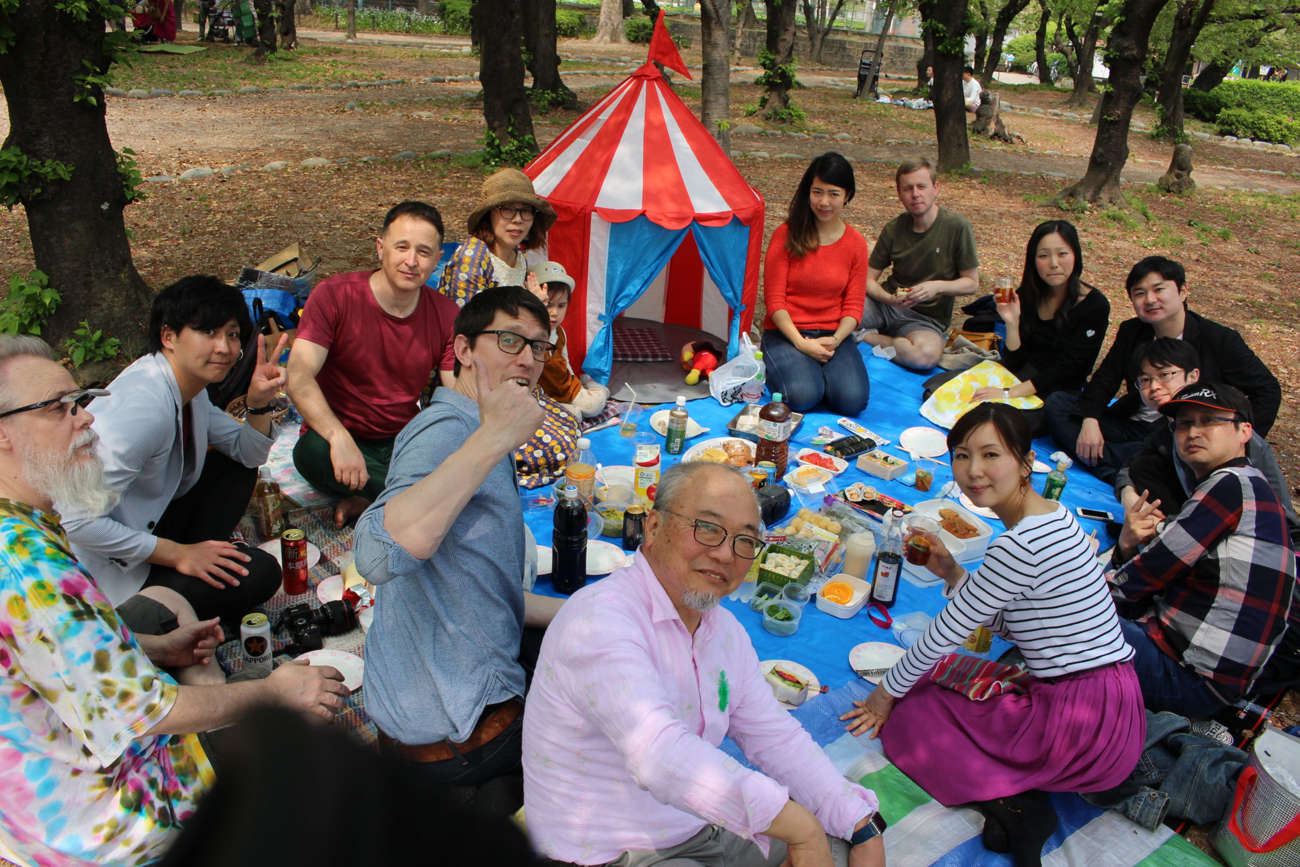Learning the language is a great way to increase your chances of a successful experience of cultural immersion Japanese 