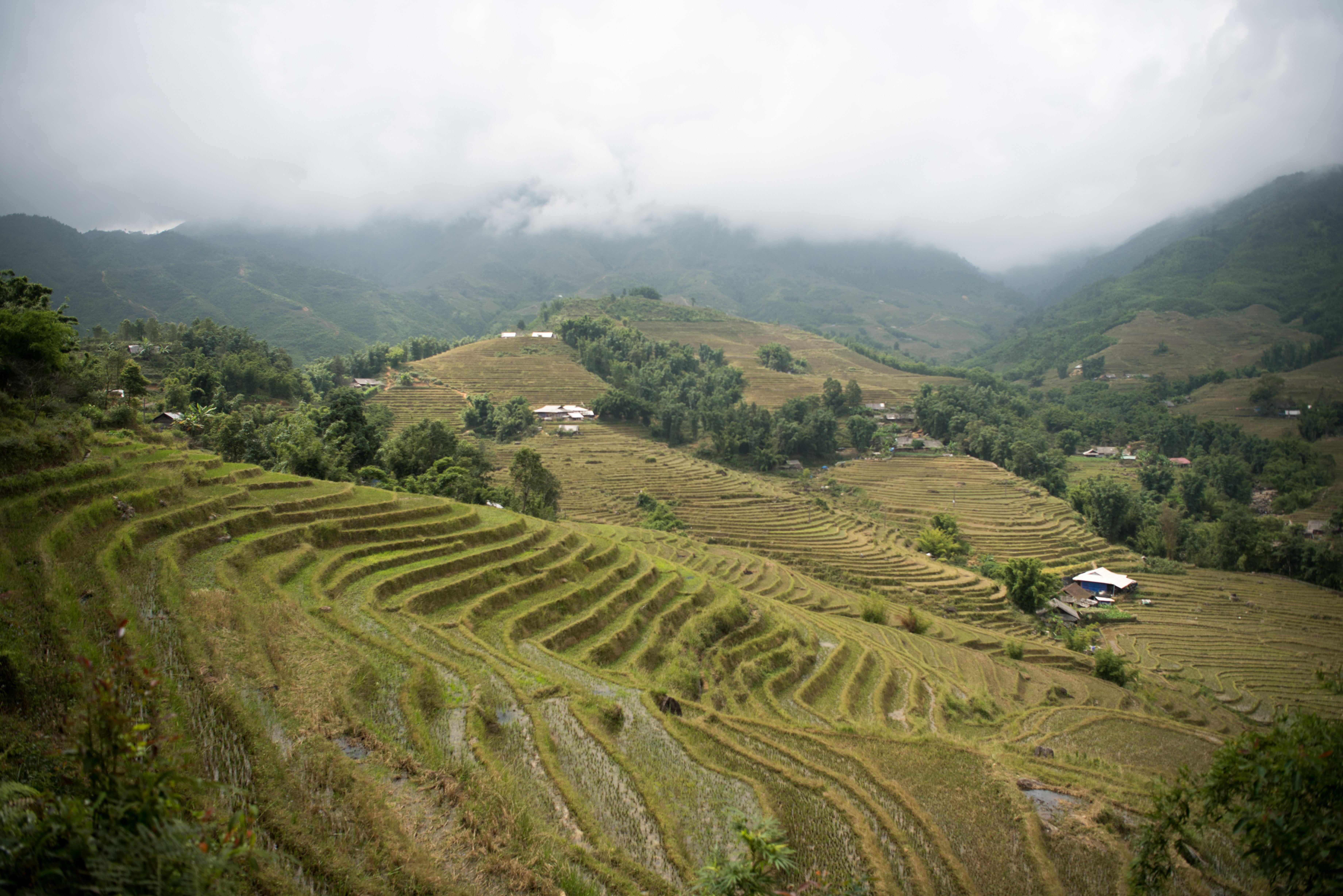 Sapa is one of the top places to explore whilst teaching in Vietnam