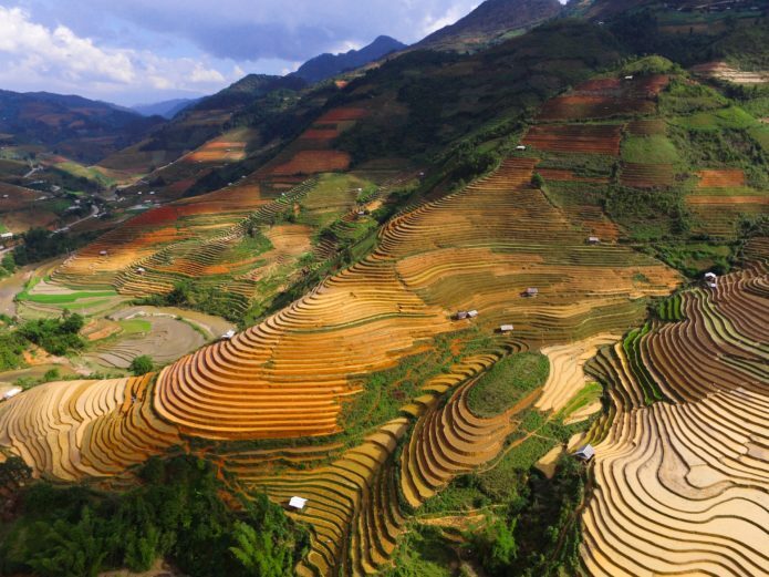 Kelsey Blogpost - Rice terraces of Vietnam.
