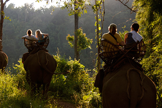 Tourists go elephant trekking in the jungle in northern Thailand