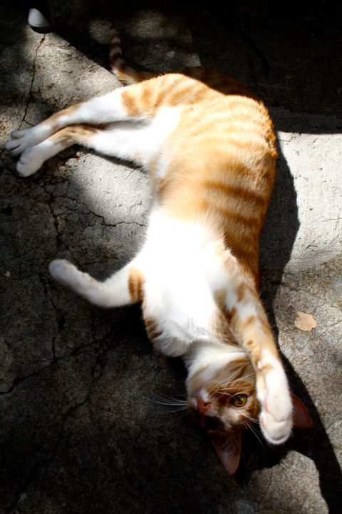 Neymar basking on a summer's day