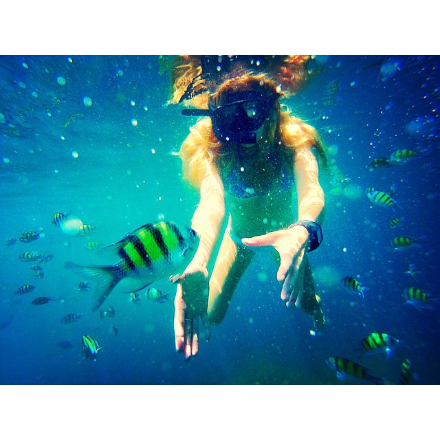 snorkelling