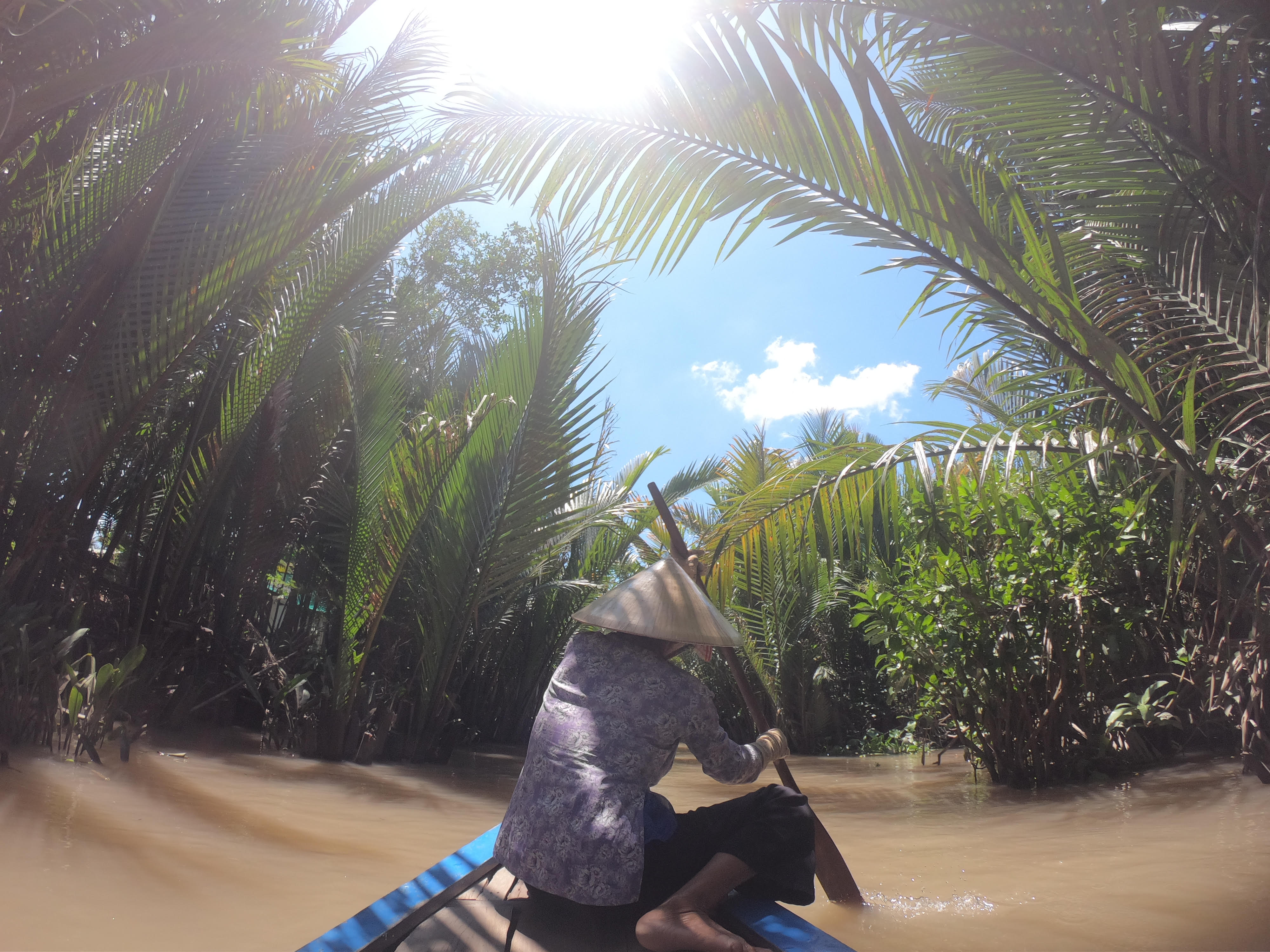 Vietnamese woman paddles through Mekong Delta coconut forest