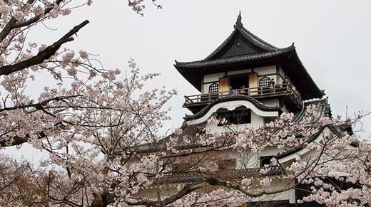 Why Completing Your TEFL Certification In-Person in Japan is Your Best Option