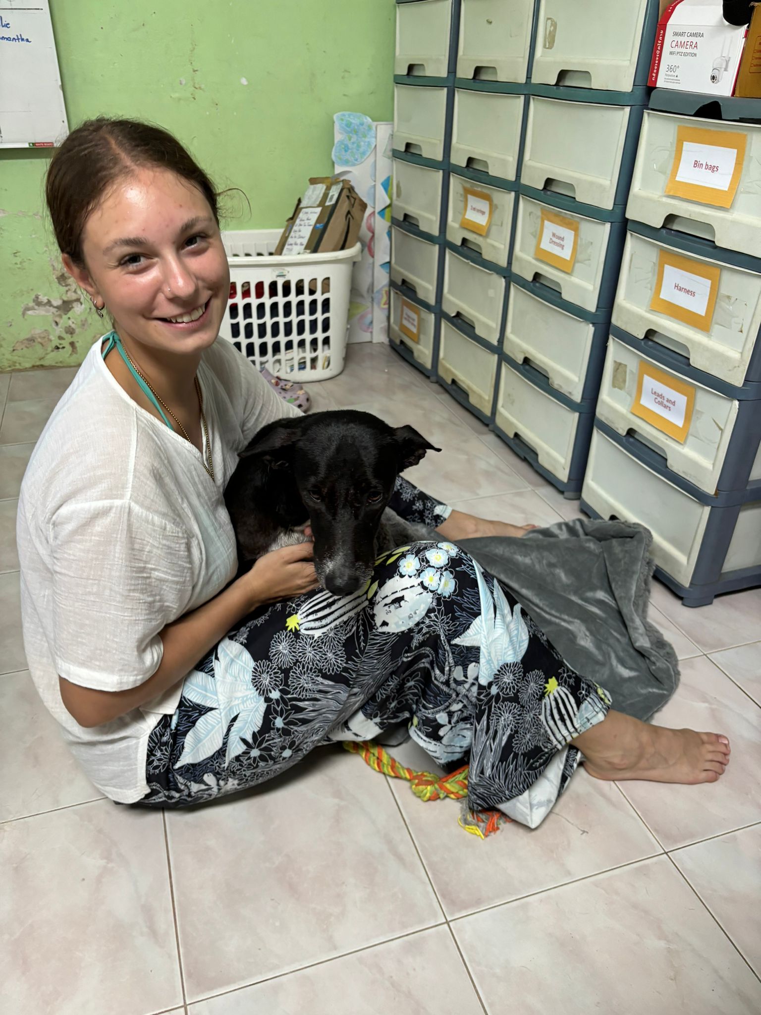 Get involved in the care for the dogs and cats at the rescue centre. This involves vaccinations and tending to wounds and injuries. 
