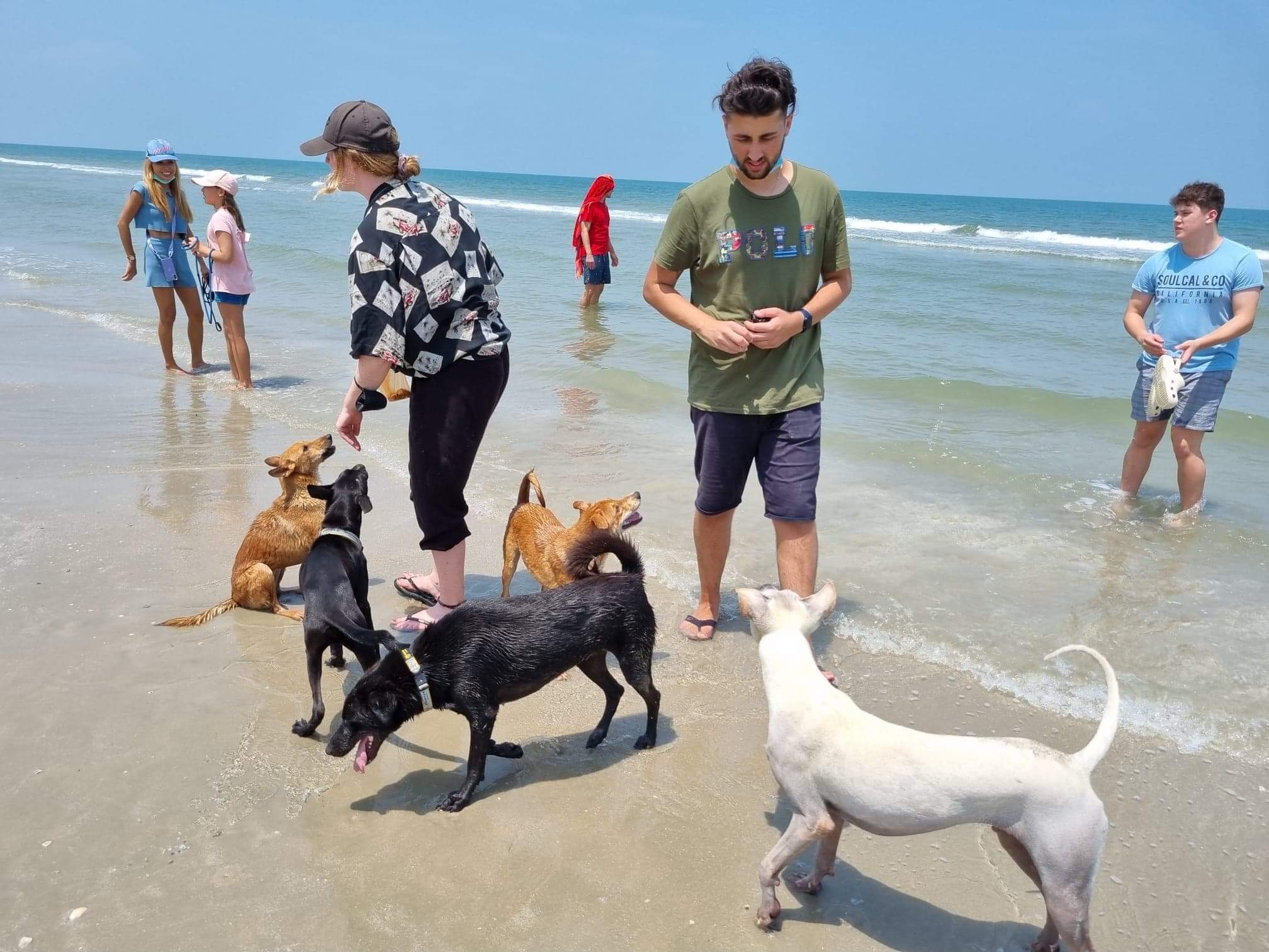 Your days will be full of activities that revolve around animal well-being. Take part in leash training while on a beach walk. 