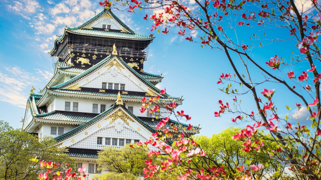 Cherry blossom season is a must-see!