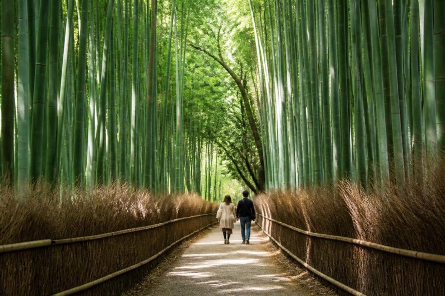 Kyoto is Japan's cultural centre: Buddhist temples, wooden townhouses and quiet bamboo groves.