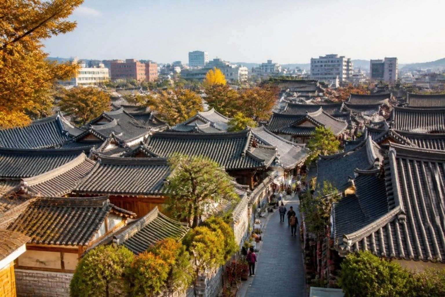 Explore Jeonju's Hanok Village, the country's largest collection of traditional timber homes and the birthplace of bibimbap.