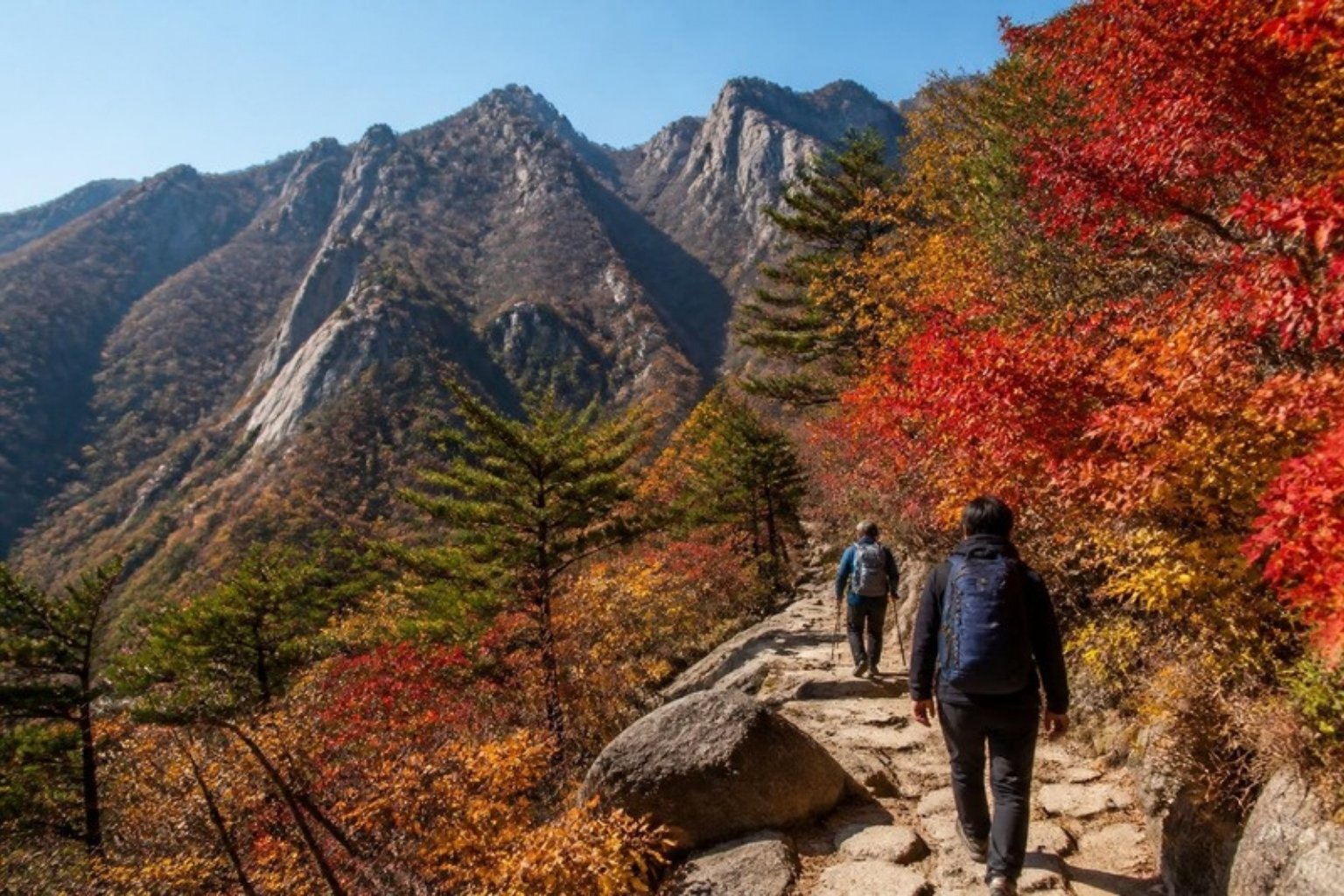 Weekends are yours to explore, from mountain trails inside the city to day trips by train.