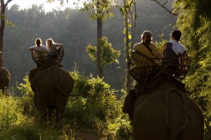 Teachers riding with elephants through the lush northern region of Thailand 