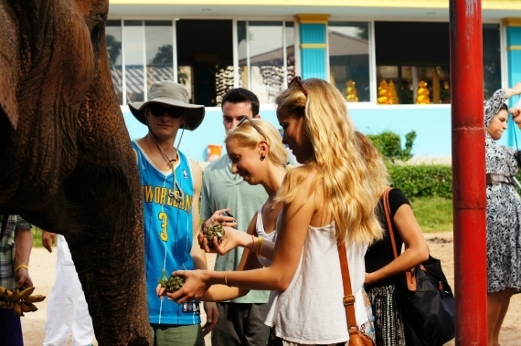 After visiting the pineapple plantation, the TESOL students are taken across town to the Hutsadin Elephant sanctuary where they get the opportunity feed and play with the elephants which are cared for here