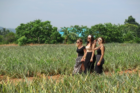 Students get the opportunity to walk around the beautiful pineapple plantation which is surrounded by some of the most beautiful tropical scenery in Thailand