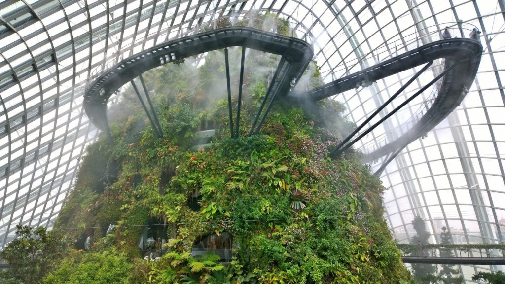 cloud forest exhibit in Singapore