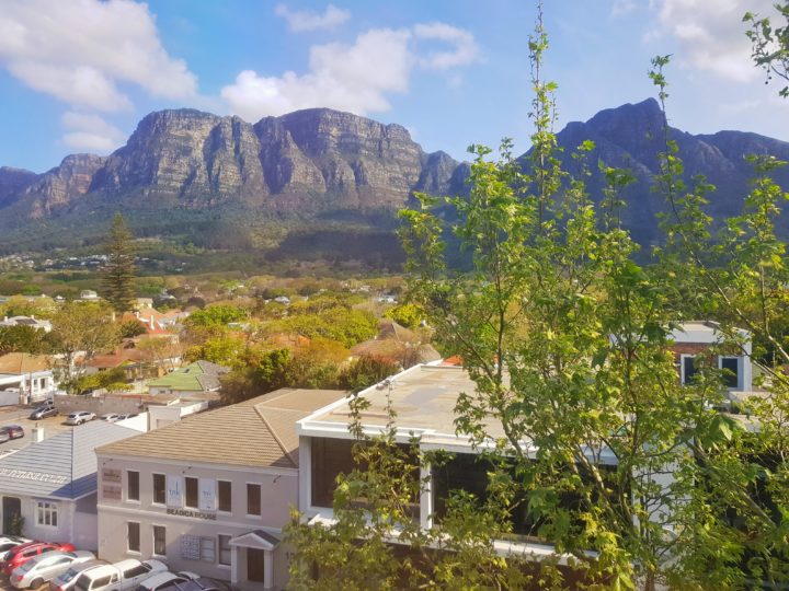 The view from the TravelBud office in the Cape Town suburb of Claremont