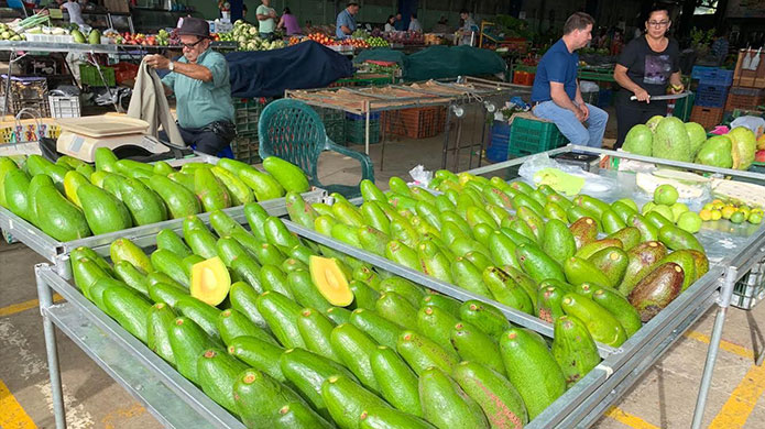 Costa Rican market