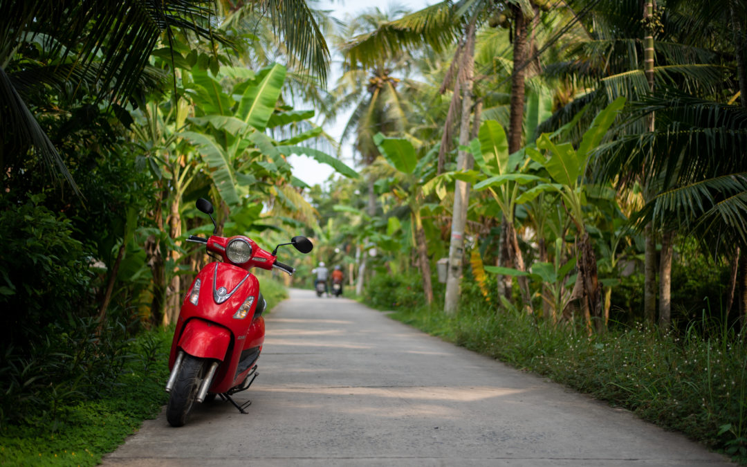 A Quarantine Culture Trip Through Vietnam