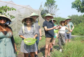 people in conical hats standing in garden