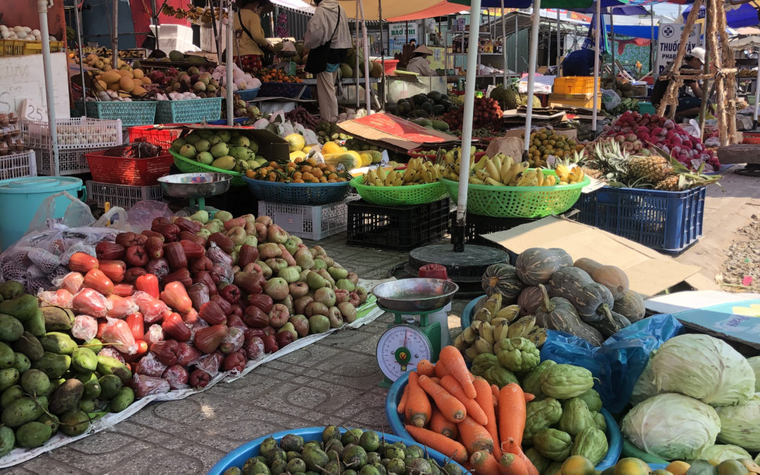 Vegetarian in Vietnam: A Crash Course