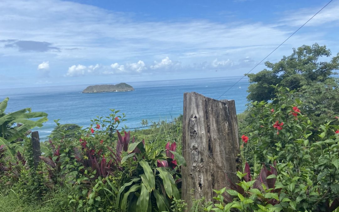 A Weekend in Manuel Antonio: Our 5 Favorite Activities